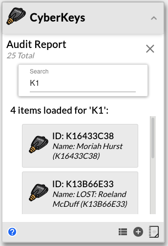 auditReport.png